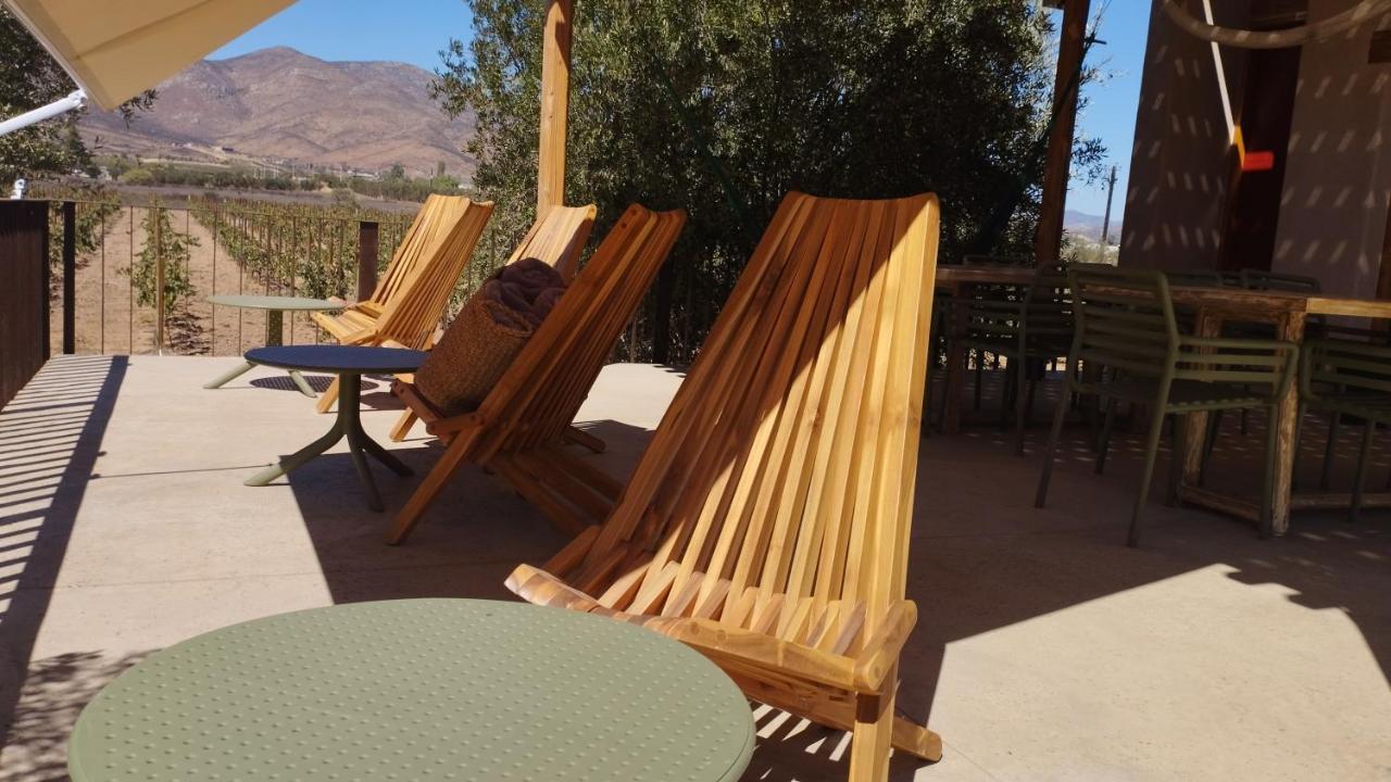 Alma Liebre Vinedos Del Valle Valle de Guadalupe Eksteriør bilde
