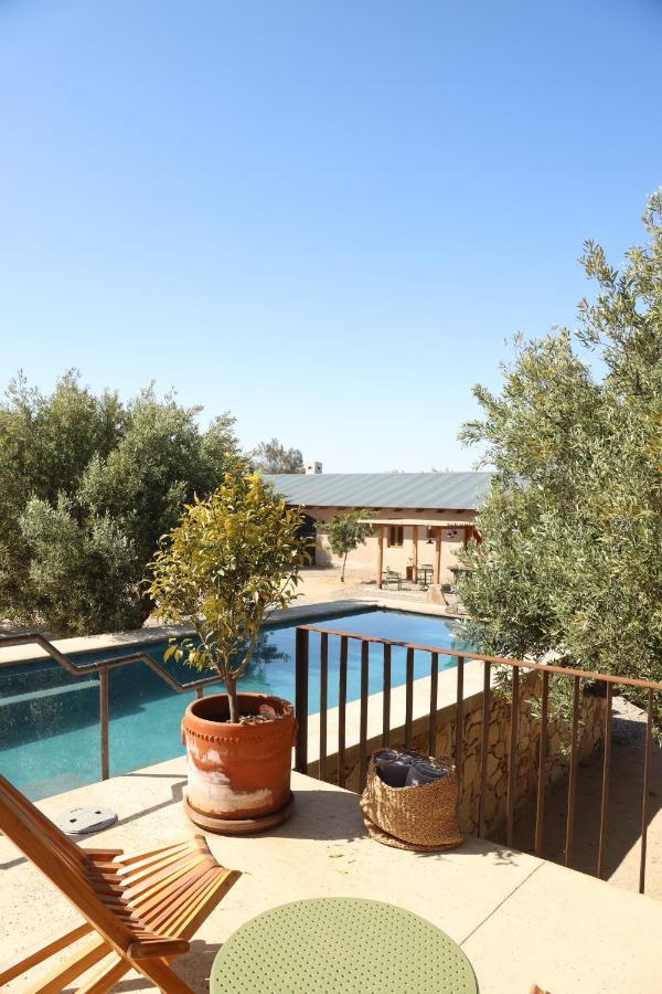 Alma Liebre Vinedos Del Valle Valle de Guadalupe Eksteriør bilde
