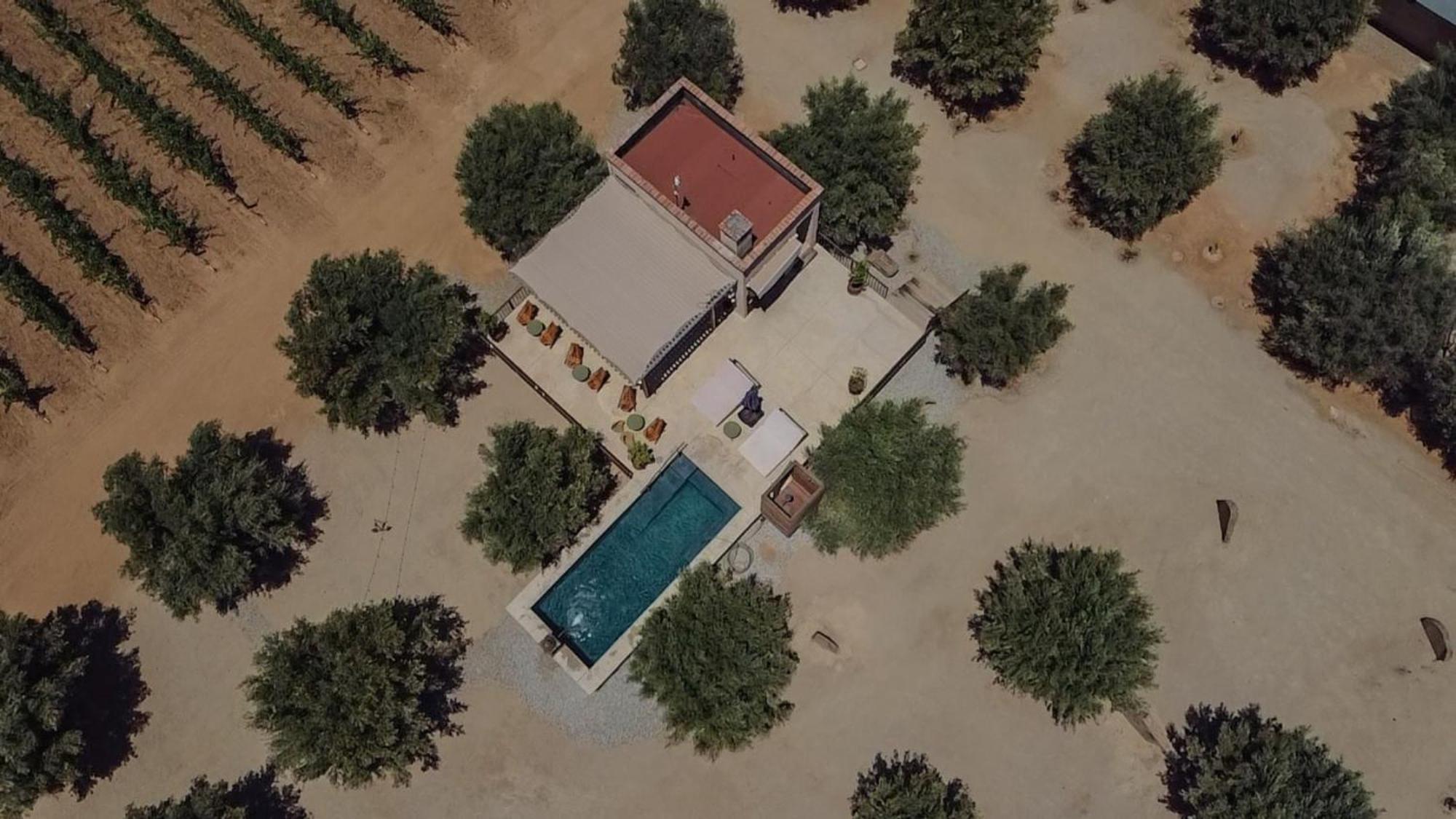 Alma Liebre Vinedos Del Valle Valle de Guadalupe Eksteriør bilde