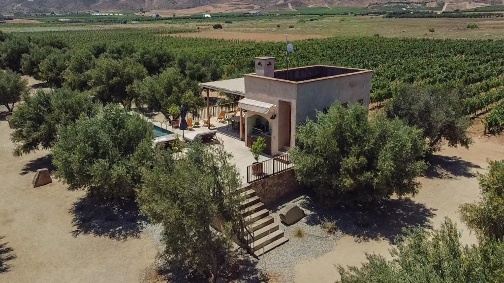 Alma Liebre Vinedos Del Valle Valle de Guadalupe Eksteriør bilde