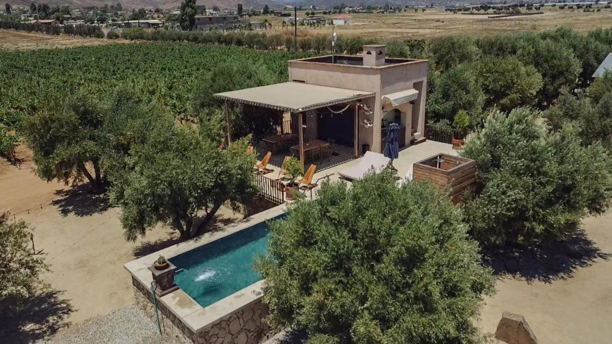 Alma Liebre Vinedos Del Valle Valle de Guadalupe Eksteriør bilde