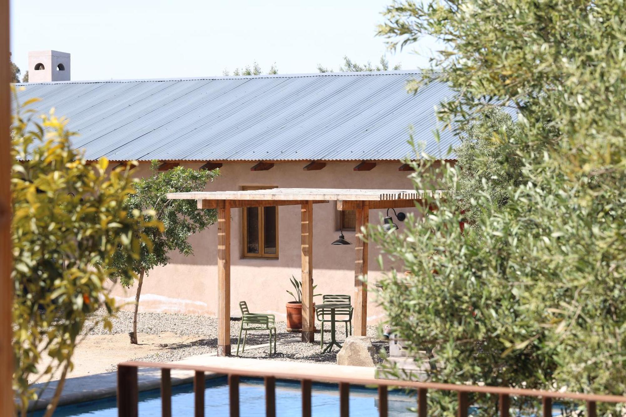 Alma Liebre Vinedos Del Valle Valle de Guadalupe Eksteriør bilde