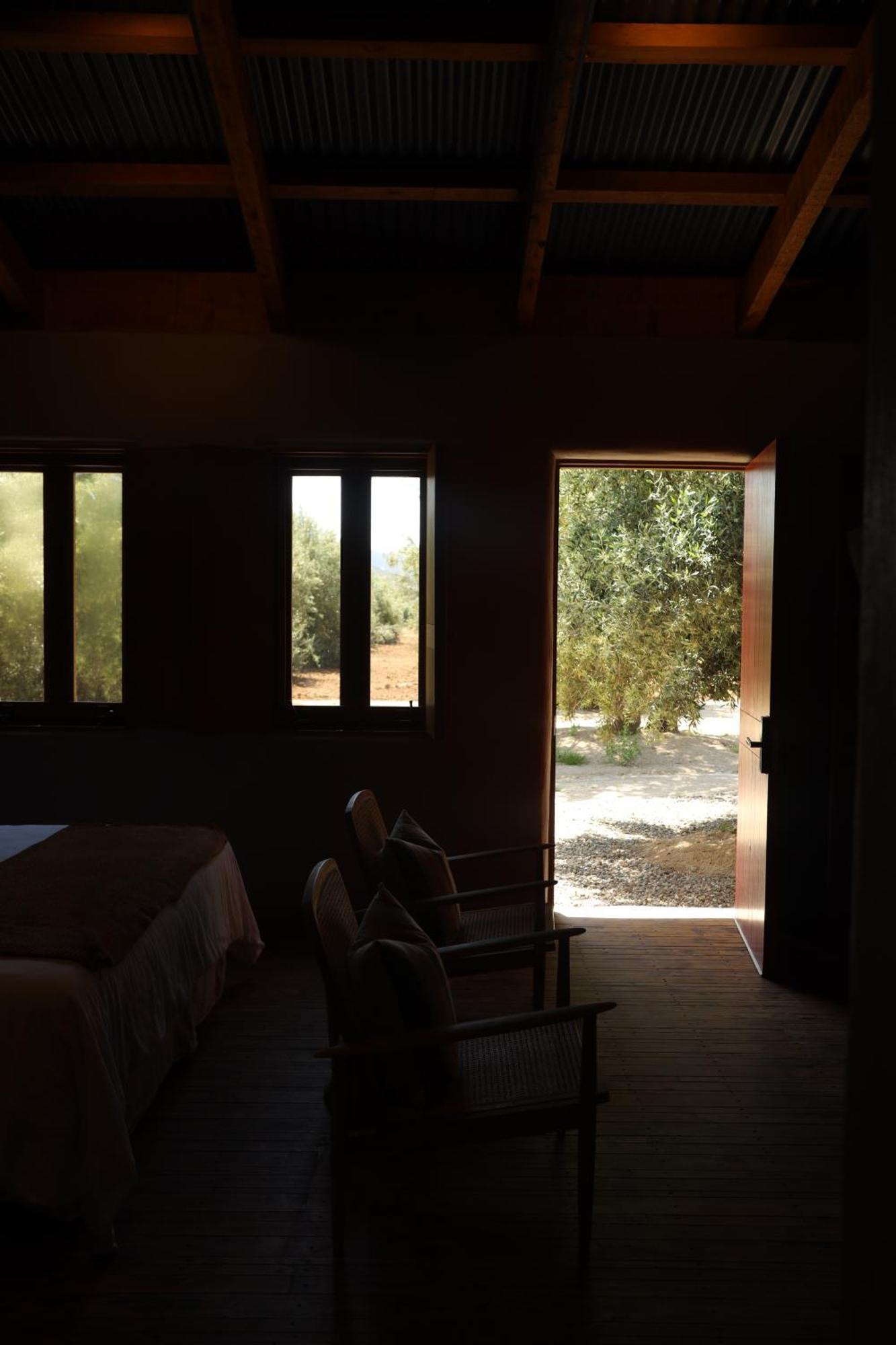 Alma Liebre Vinedos Del Valle Valle de Guadalupe Eksteriør bilde